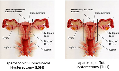 Dr Lawrence Lin Md Facog 3608